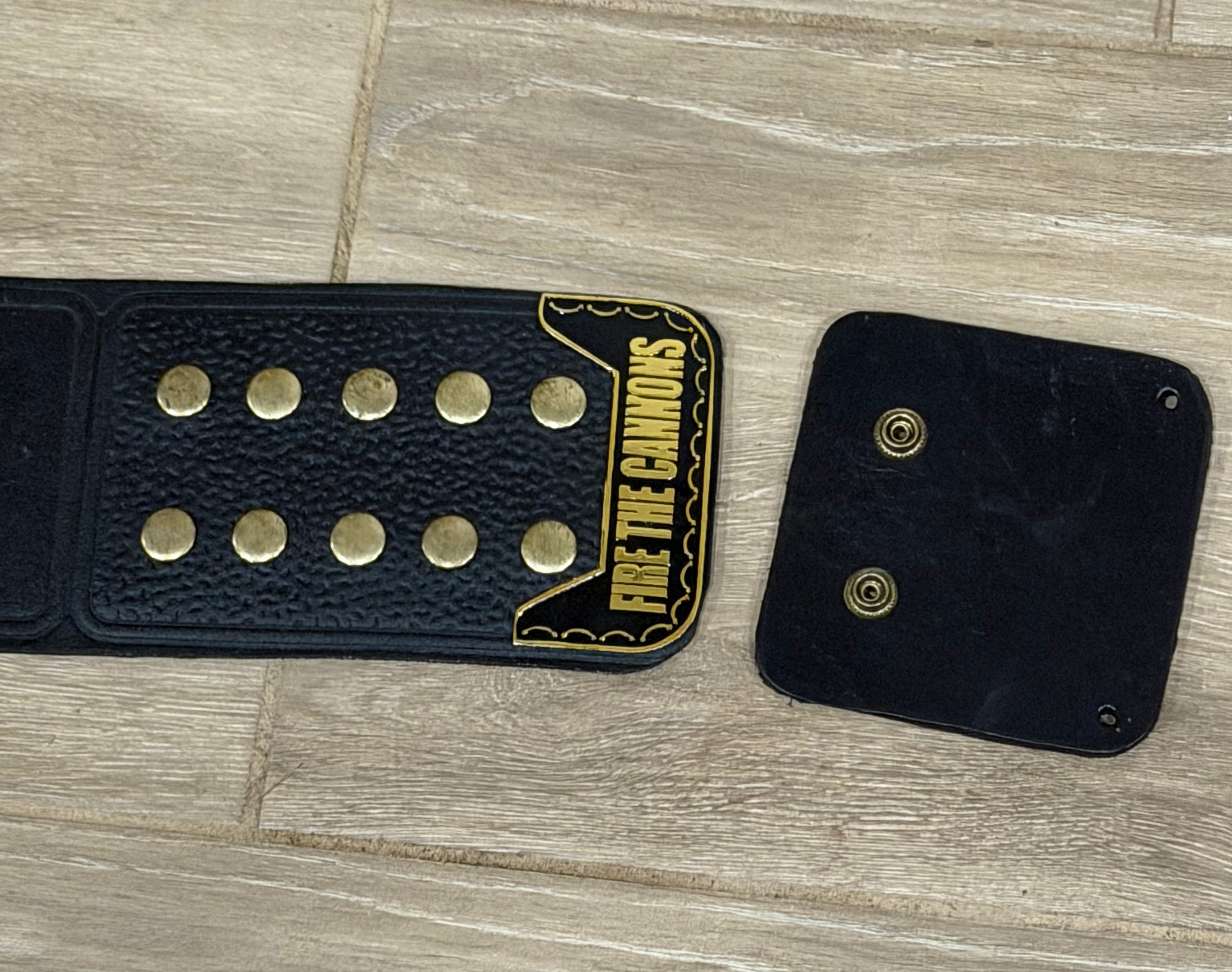 Custom Tampa Bay Wrestling Belt