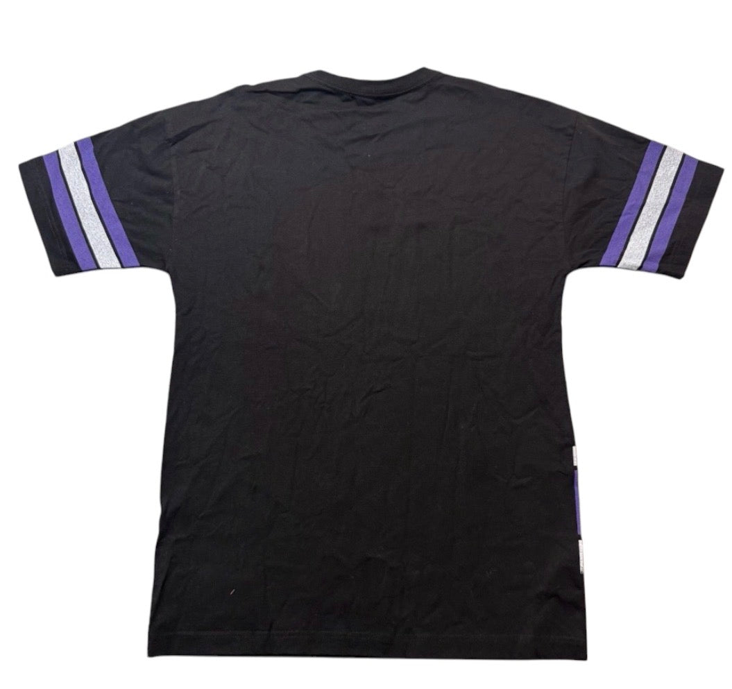 Tampa Bay Rays Mitchell & Ness Devil Rays Big Logo Mens T-shirt