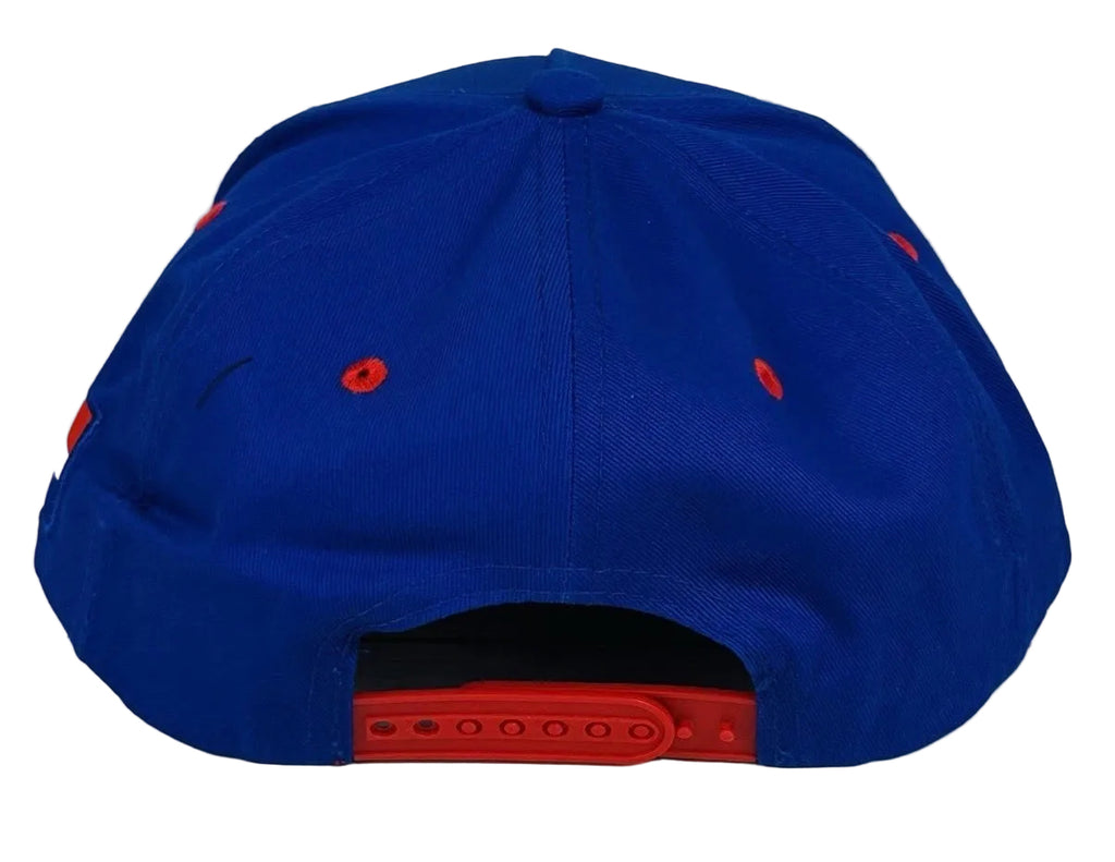 Tampas Bay Rays Dominican Heritage SGA Hat