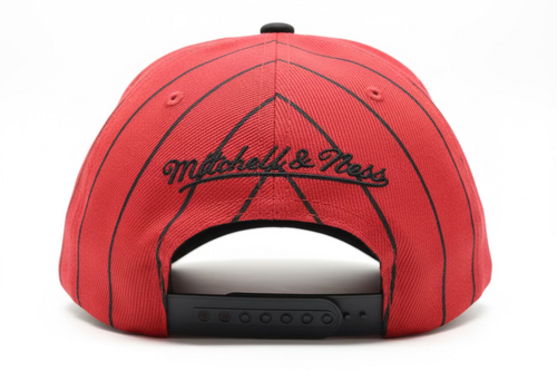 Chicago Bulls Mitchell & Ness DNA Snapback Hat