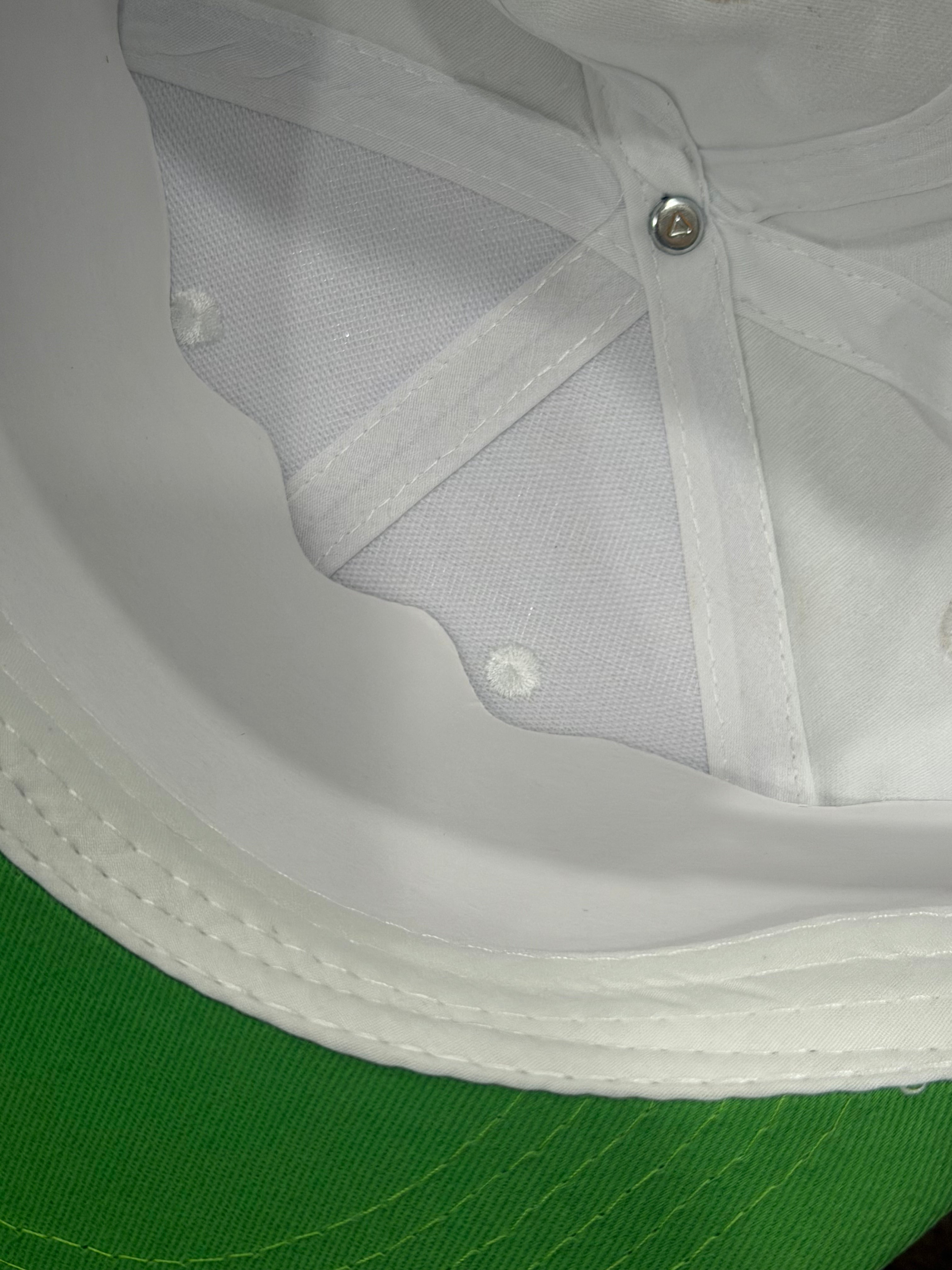 Tampa Bay Rays SGA White & Green Snapback Hat BY Melonwear