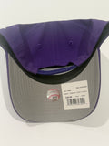 Tampa Bay Rays New Era 9Forty A-Frame Custom Crystal Snapback Hat