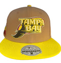 Tampa Bay Rays Mitchell & Ness x Topps Baseball Fitted Hat 1978